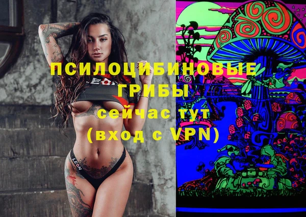 твердый Армянск