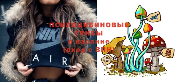 дживик Арсеньев