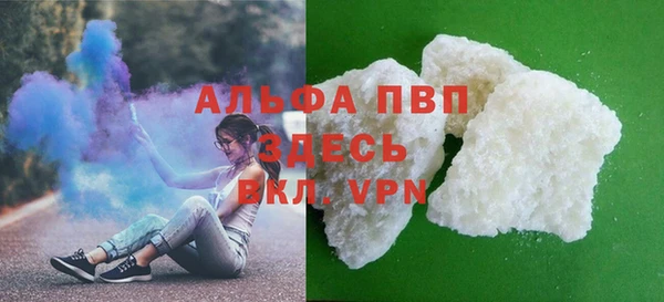 сатива Ростов