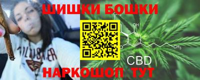 дживик Гагарин