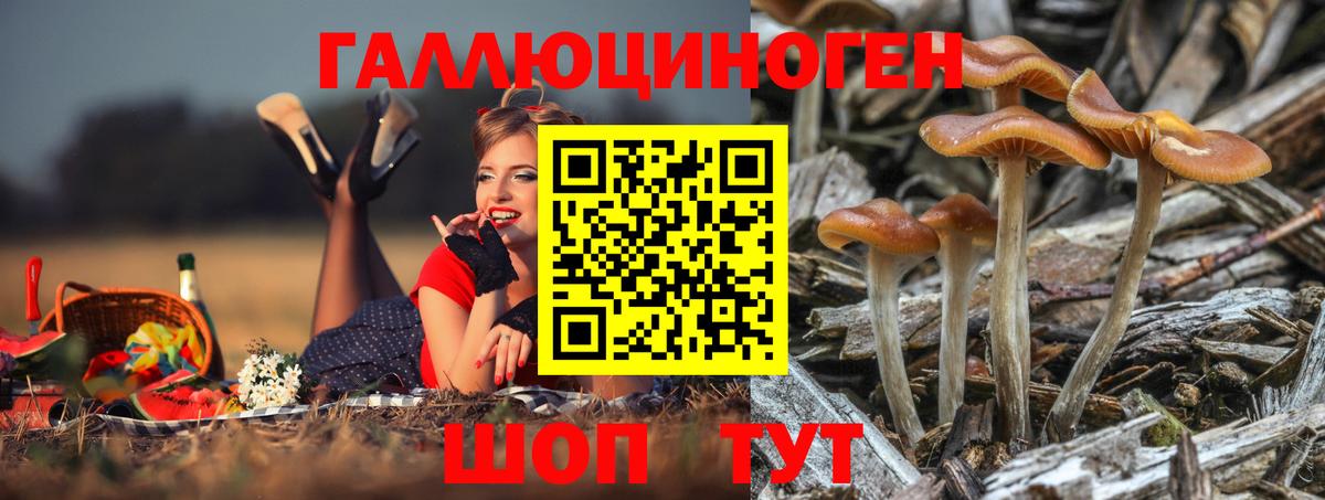 Галлюциногенные грибы мицелий  Вход с VPN  Кирово-Чепецк 